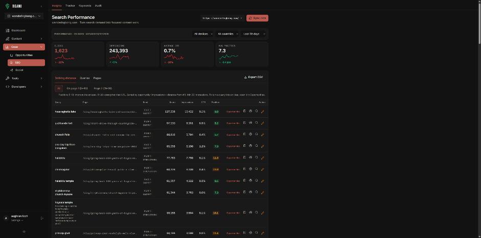 Search performance with a striking-distance table of queries, impressions, click rate and position