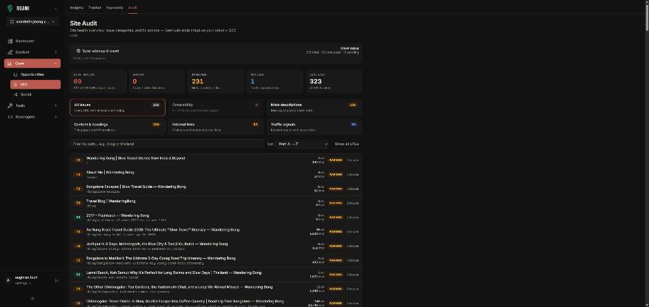 Site audit with health score, warnings by category and a per-page issue list