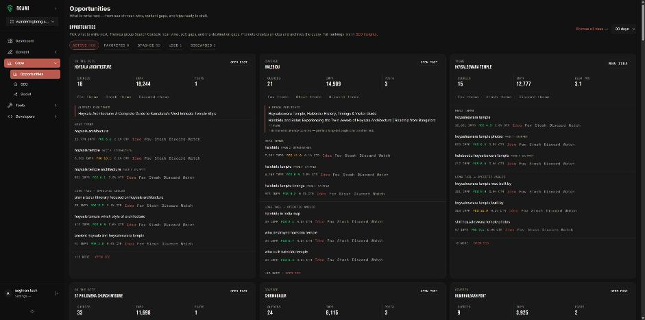 Opportunities board grouping search queries into themes